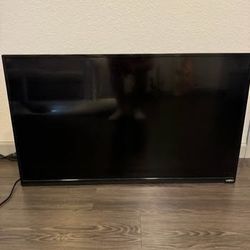 Vizio TV – Works, Good Condition (No Remote)