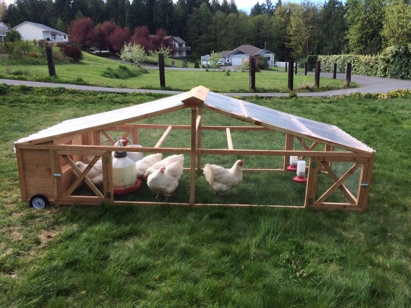 Large Chicken Tractor