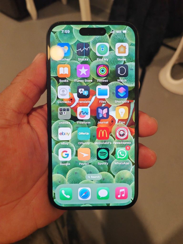 iPhone 15