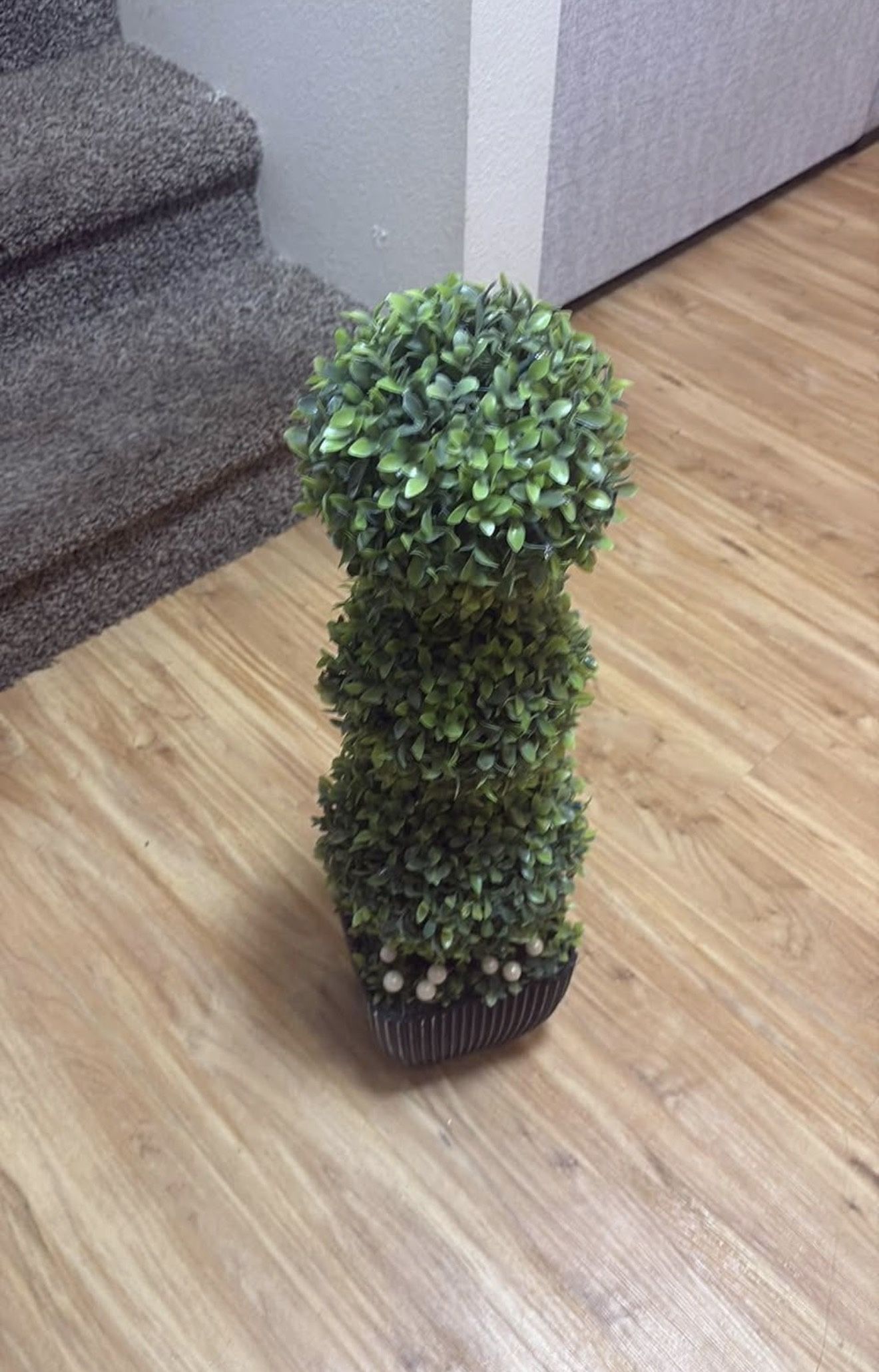 Small Tree