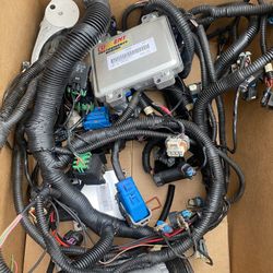 Chevy LS2 Wiring Harness