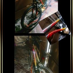 Specialized Bike Rim 24