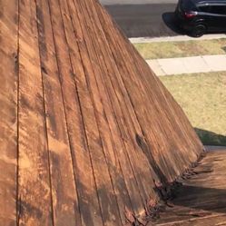 Shingles Roof