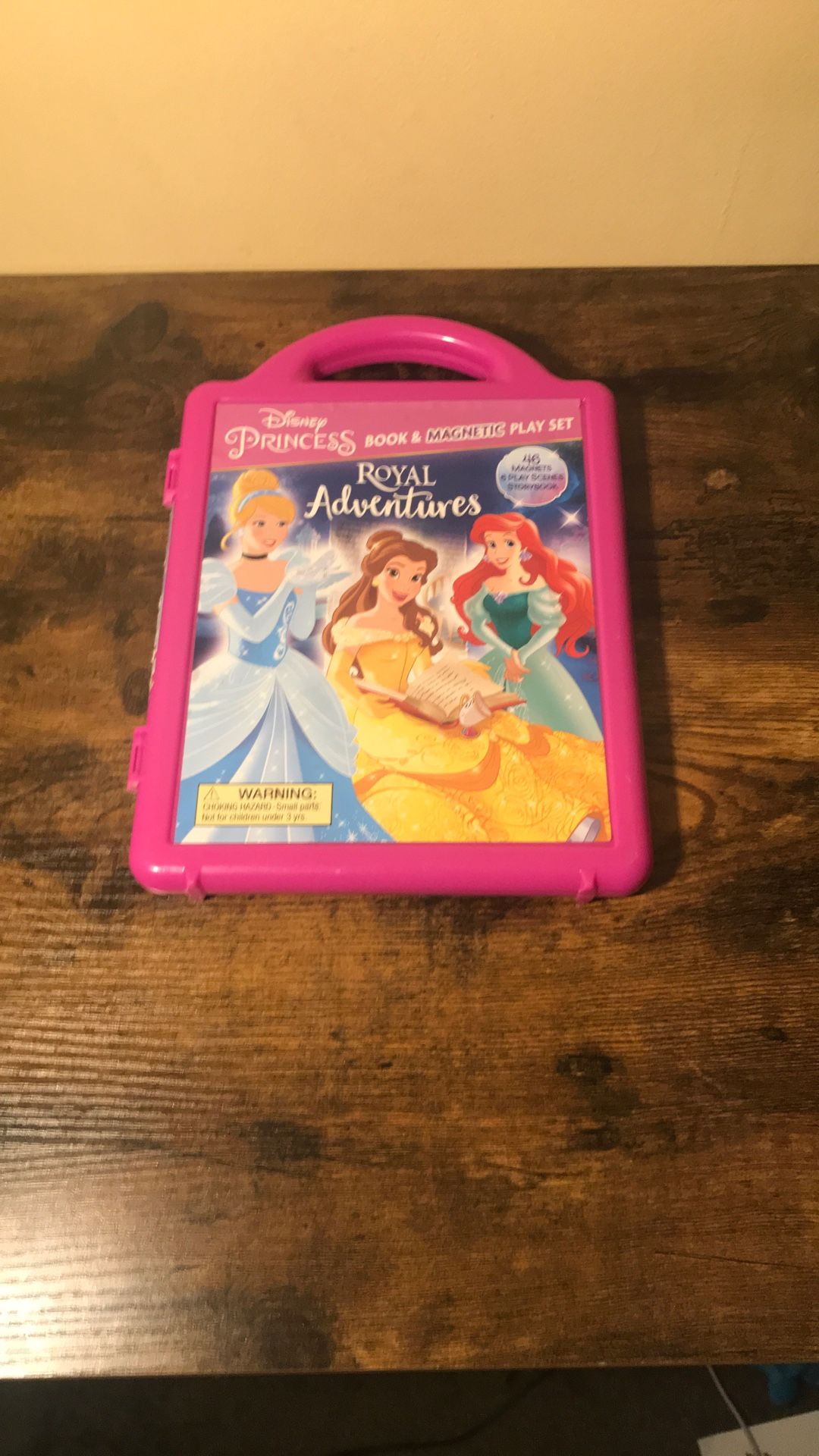 Disney Princess Craft Case