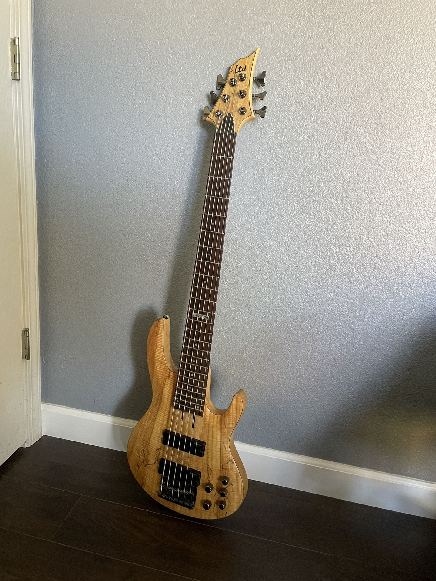 6-String Bass Guitar