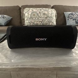 Sony Ult FIELD 1 Speaker