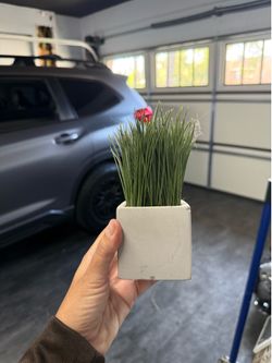 Fake plant