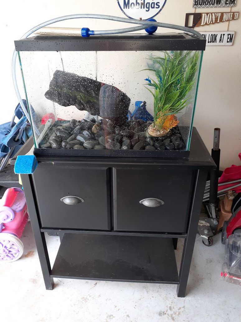 Turtle/Fish tank