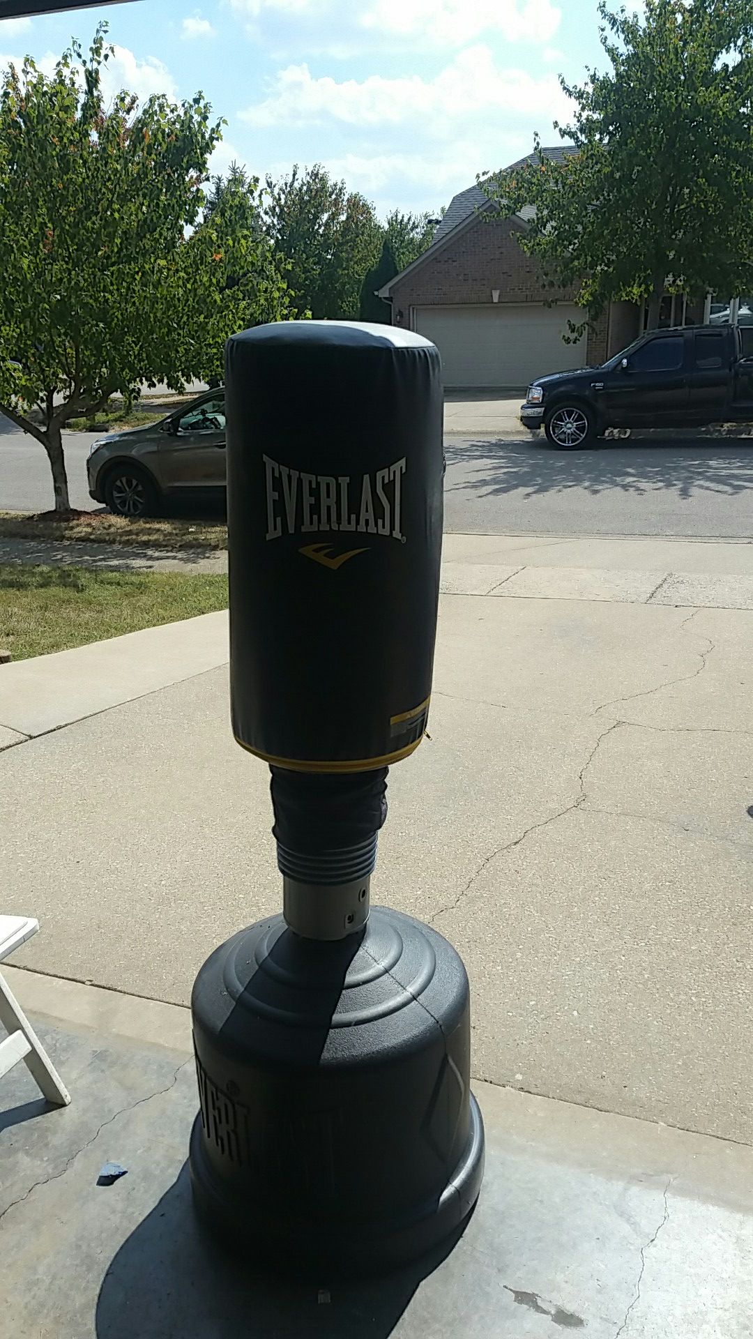 Everlast everflex punch bag