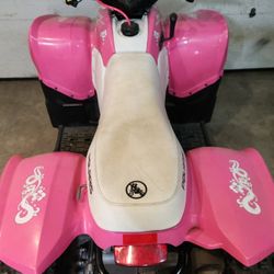 2007 Polaris Phoenix 200