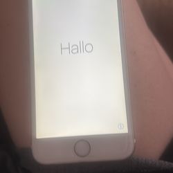 iPhone 6