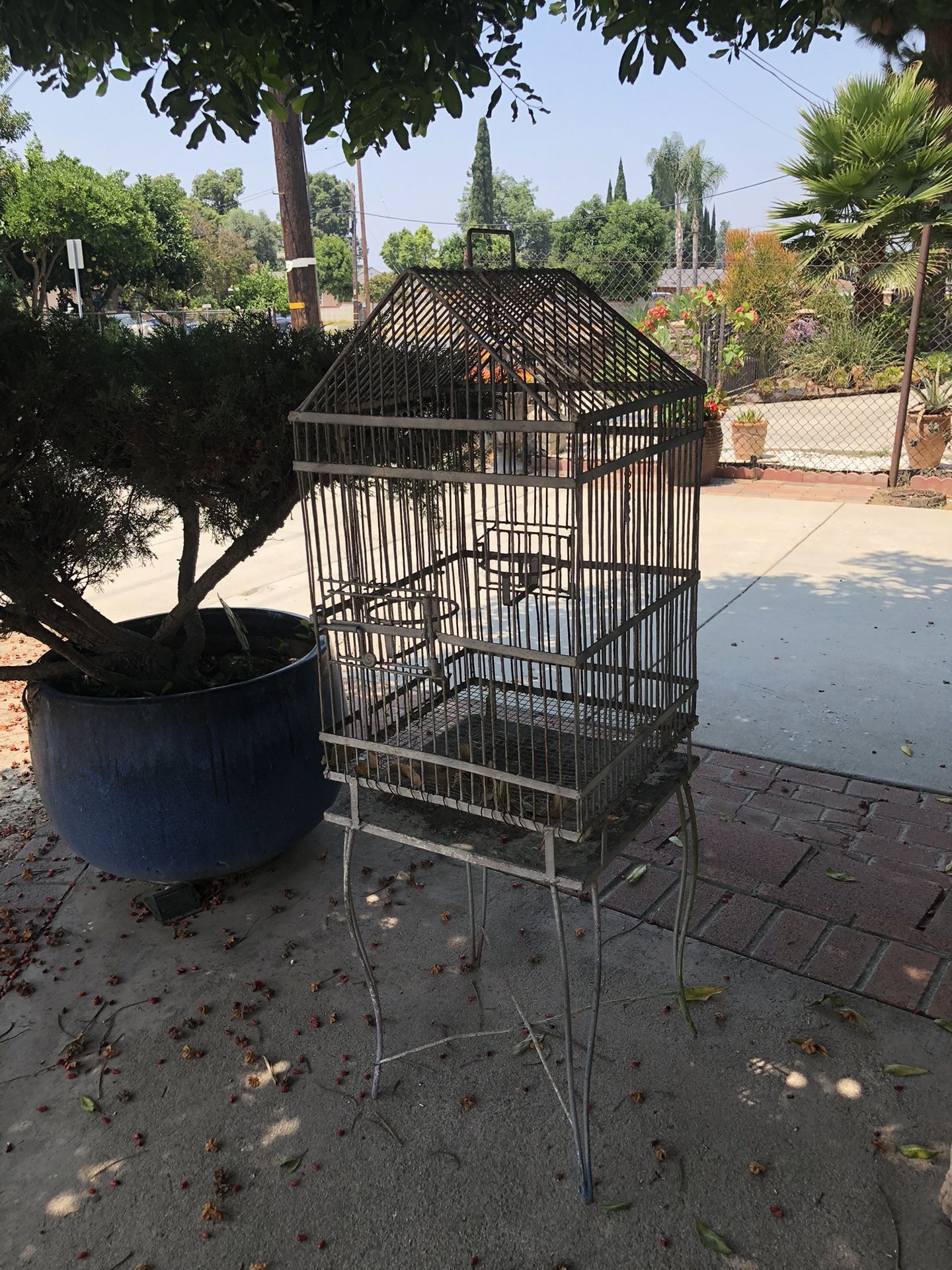 Birds Cage Vintage