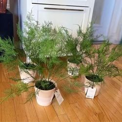 22" Faux Fern Potted Plant - Hearth & Hand™ with Magnolia