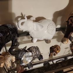 White Elephant