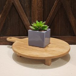 Handmade Ceramic Succulent 