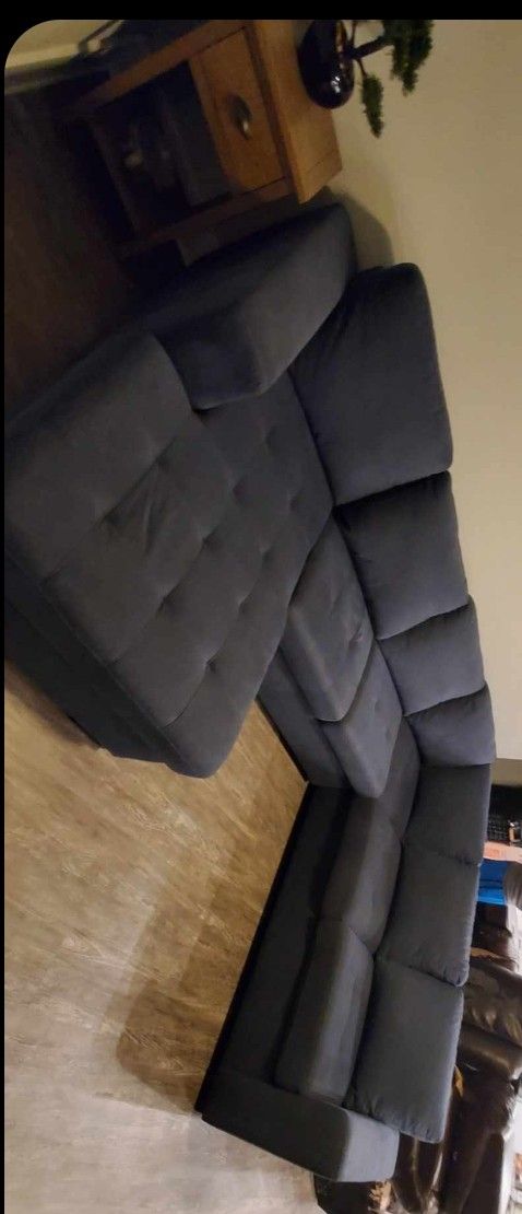 Blue Sectional SLEEPER & Storage Chest