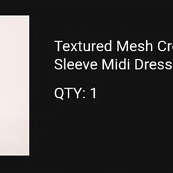 Express Mesh Midi Dress