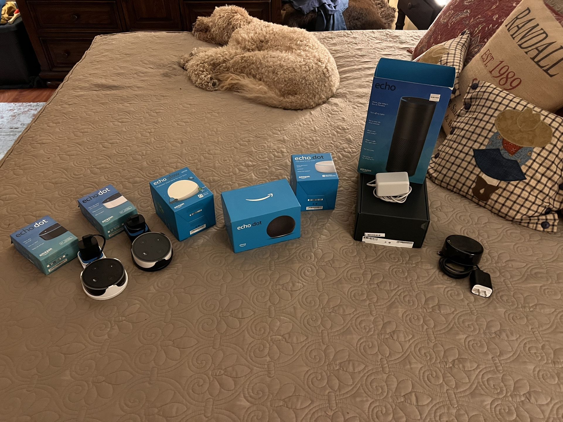 Set of Older Alexa, Echo Dots and Brand New Echo Light