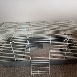 Guinea Pig Items