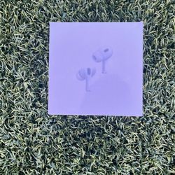 Air Pods Pro (2nd Generation)