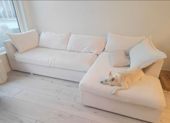 Couch with Sofa Bed - Joybird