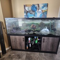 125 Gallon Fish Tank With Stand And Lid