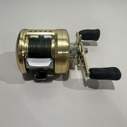 Daiwa Luna