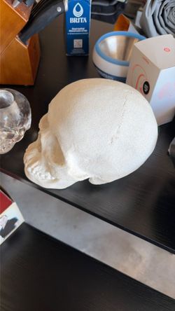 Skull decor/ candle holder