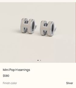 Hermes Paris earrings