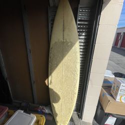 Matt Calvani  6,6 Surf Board 