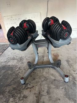 Bowflex dumbbells and stand