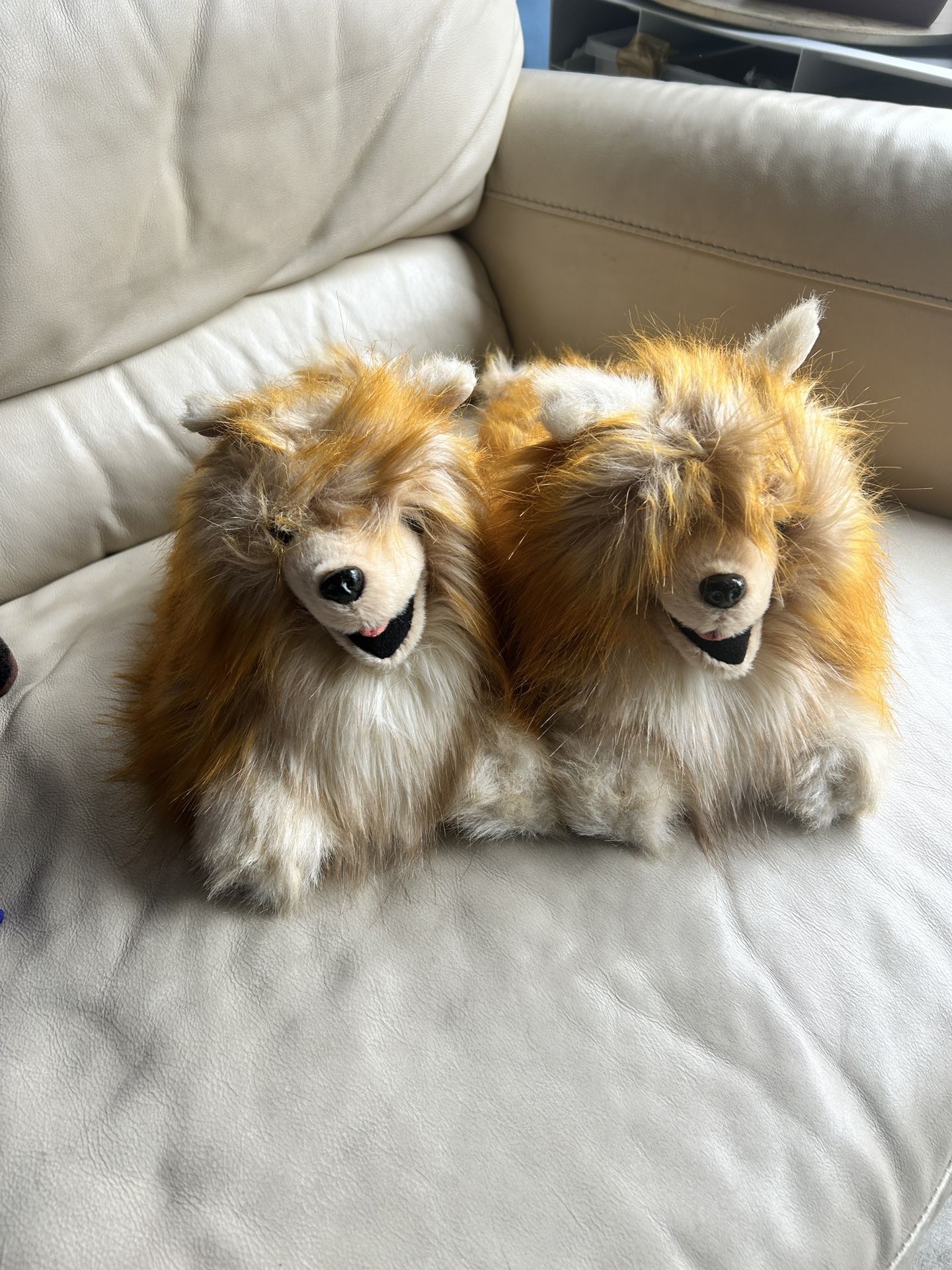 Pomeranian Slippers ONE SIZE
