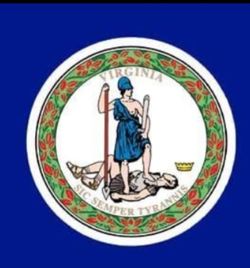 NEW HUGE VIRGINIA NYLON FLAG