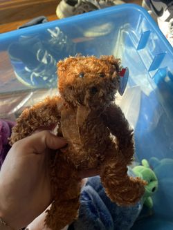 Hawthorne Small Beanie Baby From Ty