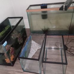 Aquariums