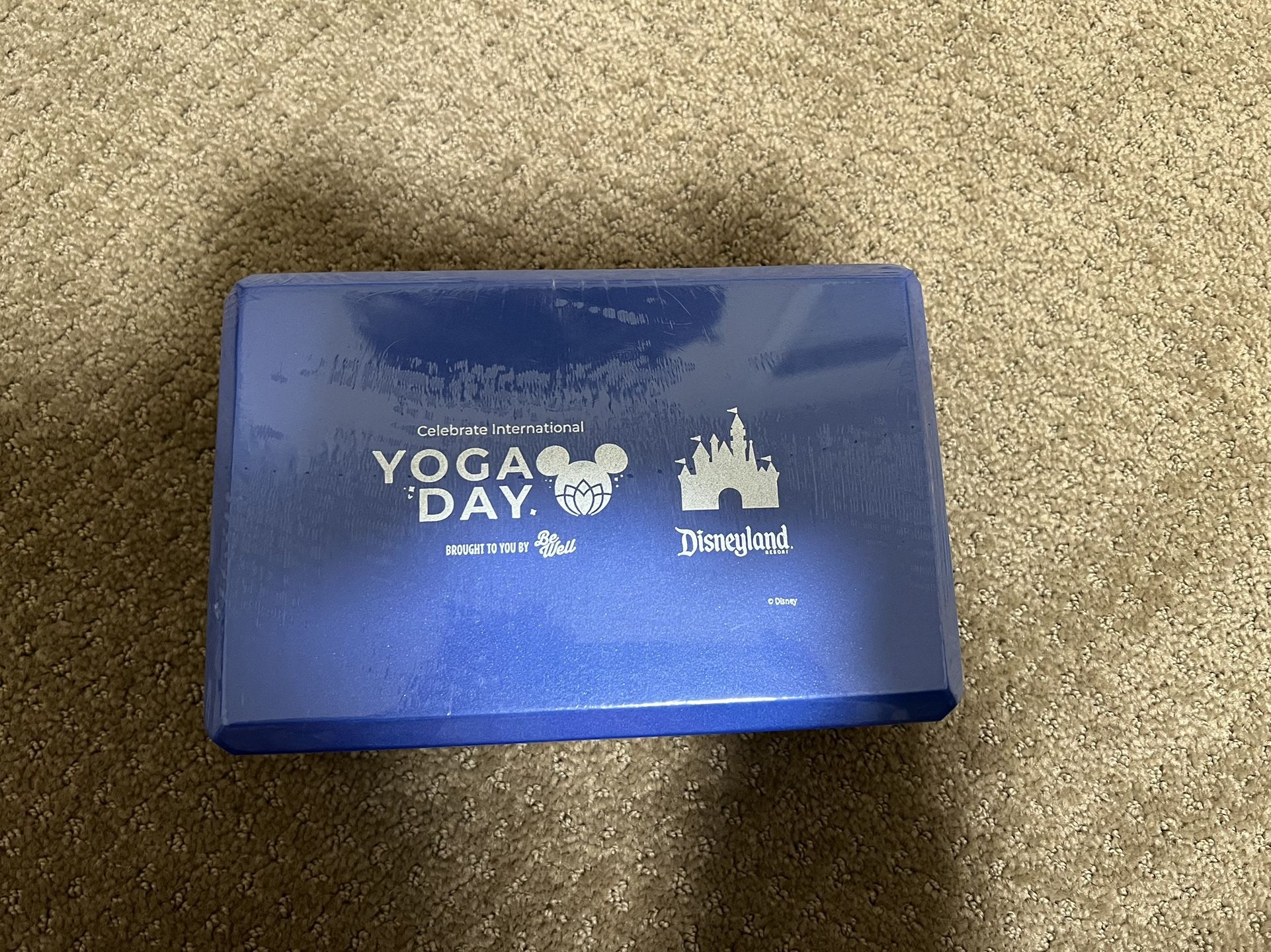 Disney be well yoga block