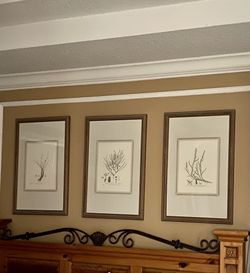 Vintage Beautiful Botanical Art Set
