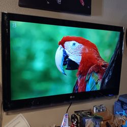 LG Flat Screen TV