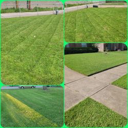 Cut Grass