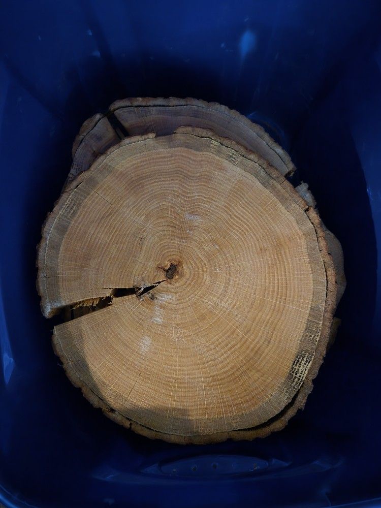 Wooden Discs Fall Centerpiece Holders Wedding