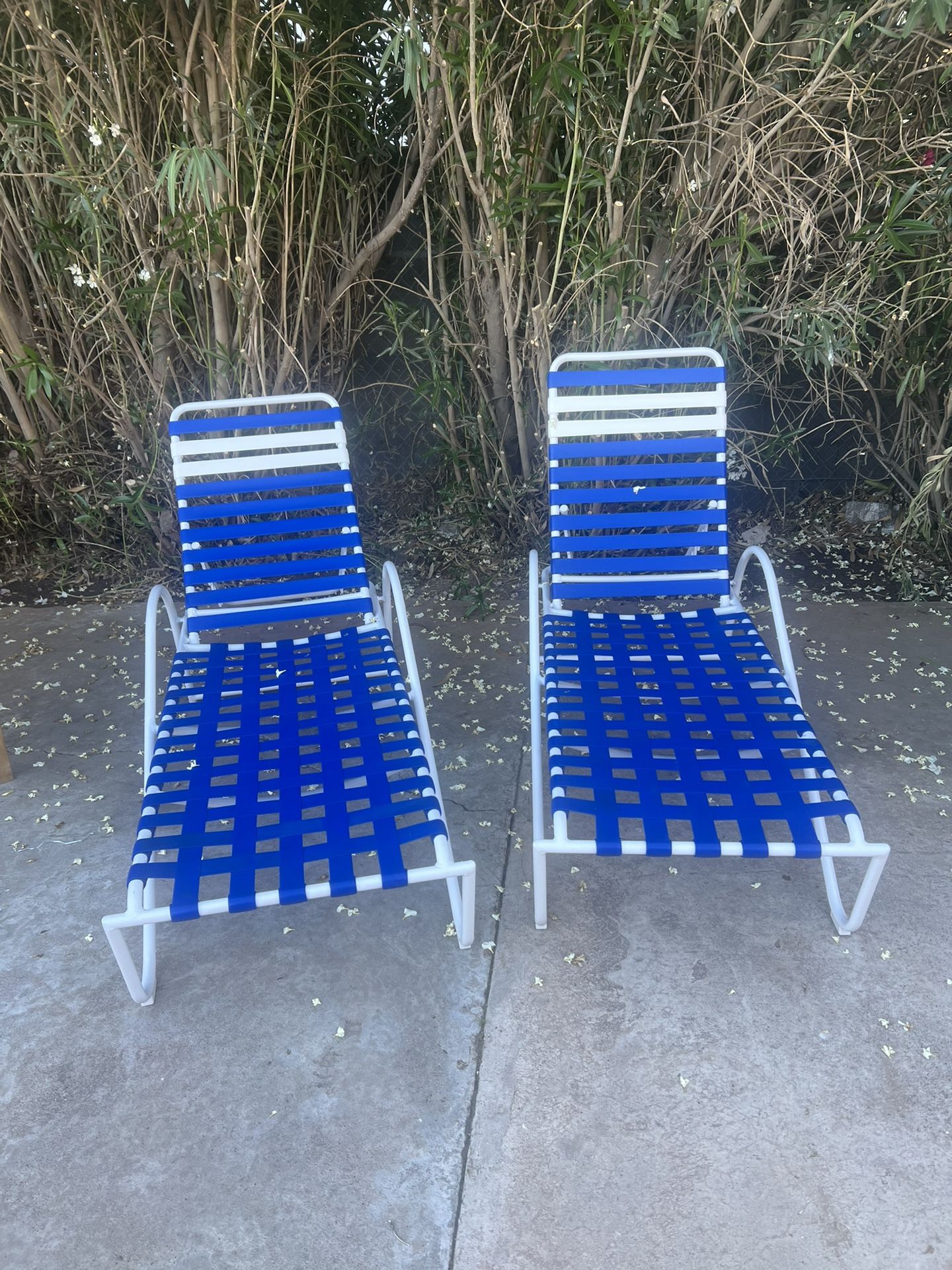 Loungers Never Used. 