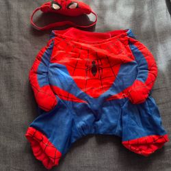 Dog Spiderman Costume 