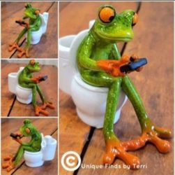 Brand New! 5 1/4" Morning Routine - Texting and Toilet Frog Figurine Home Decor | PU IN WINTER SPRINGS