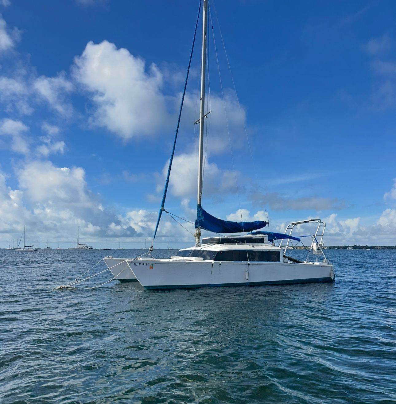 Catamarán Sailboat