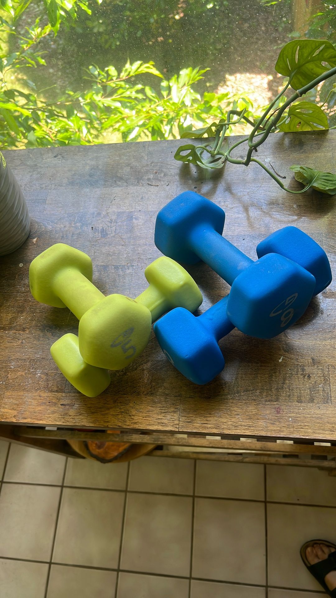Set Of Dumbbell Weights