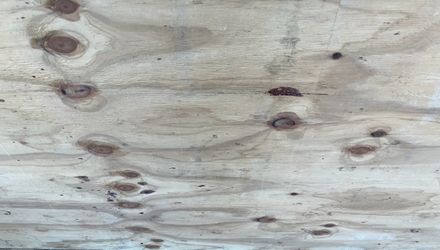 1/2 PT Plywood