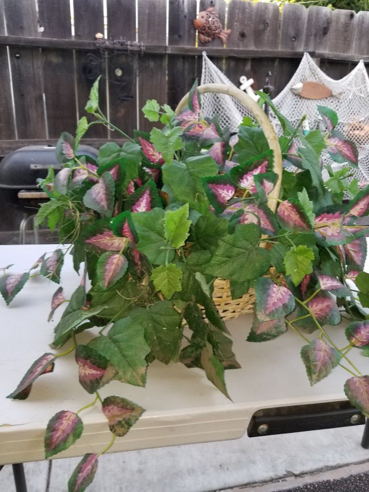 Beautiful fake green plant in basket