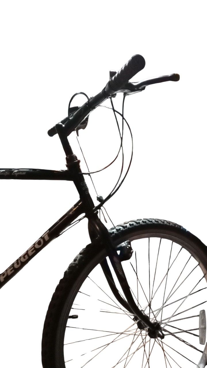 Peugeot Pacific Express Bycicle 