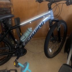 Schwinn
