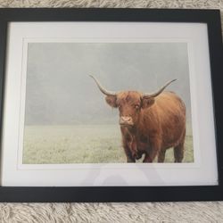 Highland  Cow Wall Art  Decorative Wall Print  ✨🤠